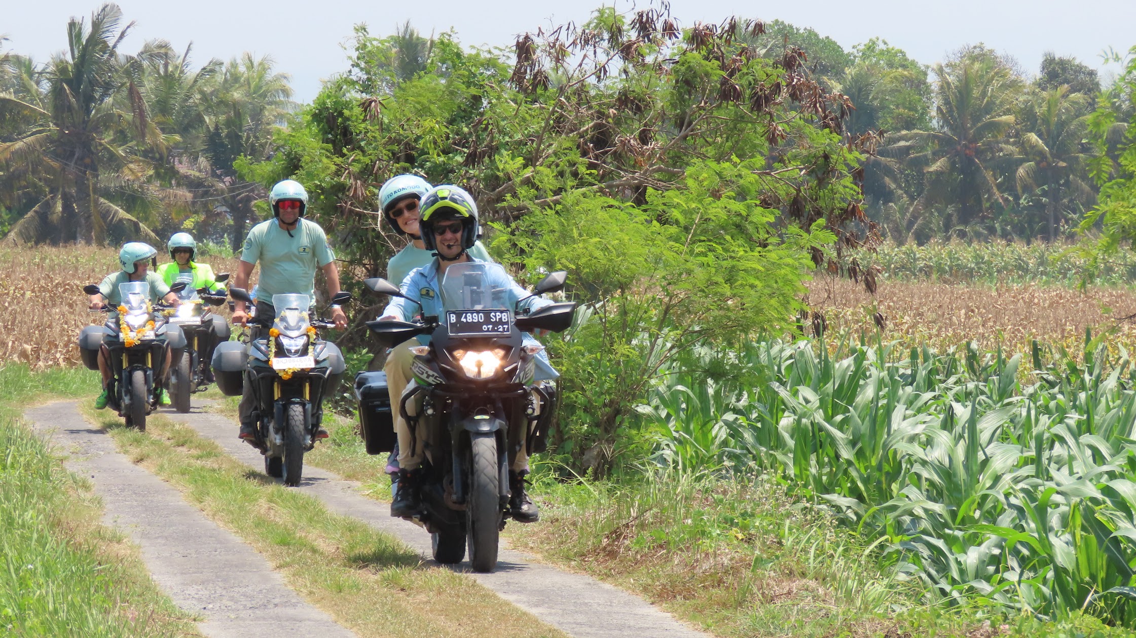 Riders in single file on a narrow road between the corn fields