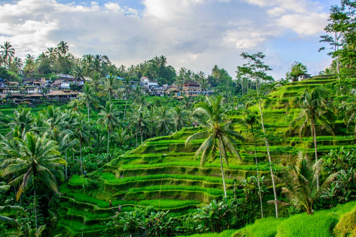 Ubud Bali